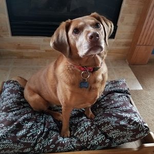 Meet your Posher, Jana